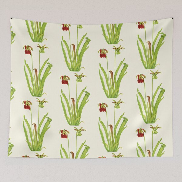 Item preview, Sweet Pitcherplant - Sarracenia Rubra- Walcott - Botanical Illustration designed and sold by chimakingthings.