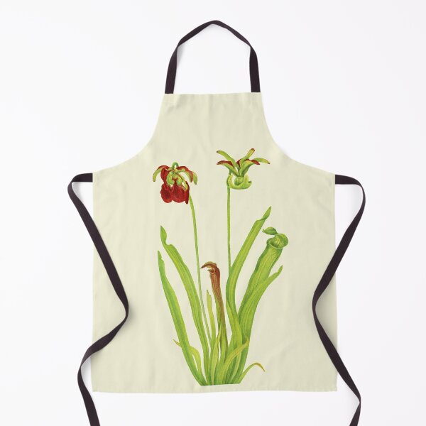 Item preview, Sweet Pitcherplant - Sarracenia Rubra- Walcott - Botanical Illustration designed and sold by chimakingthings.