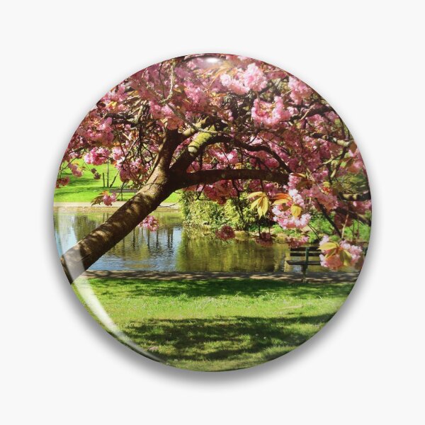 Item preview, Collett Park. Cherry Blossom, Somerset designed and sold by JonDelorme.
