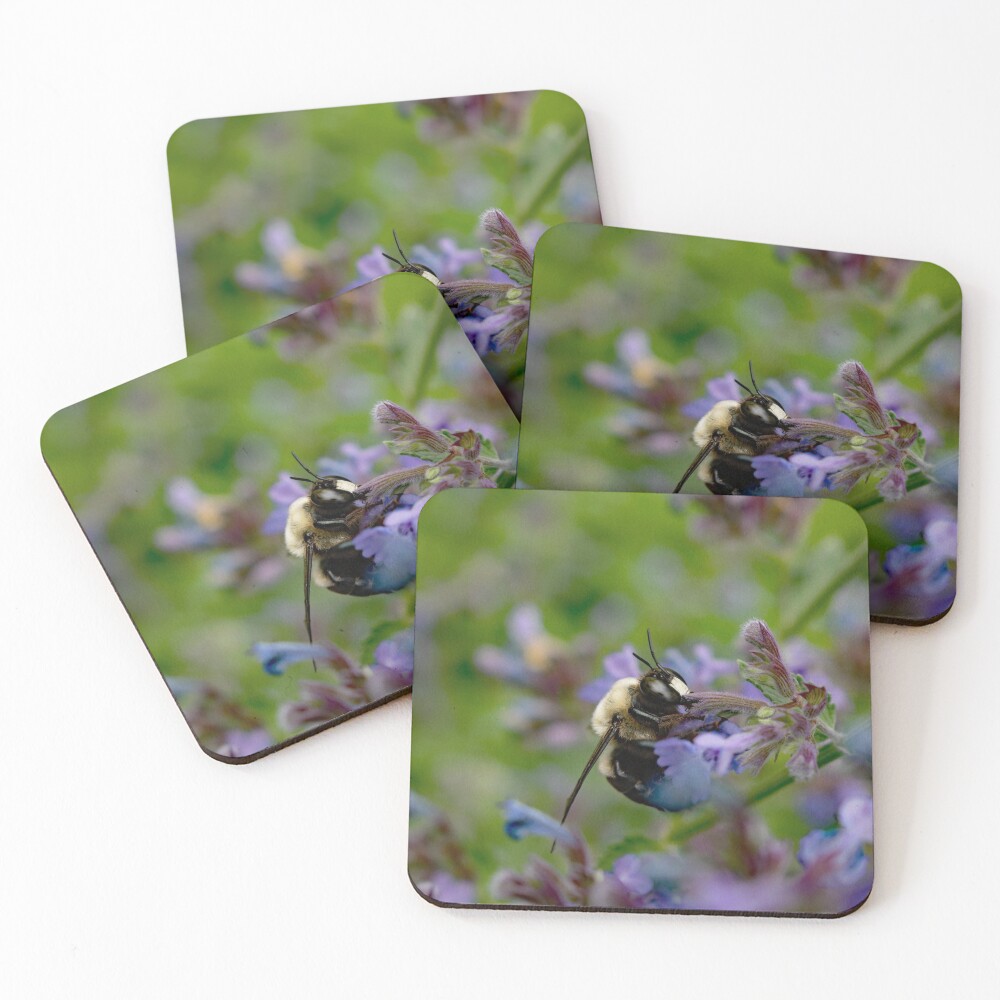 Item preview, Coasters (Set of 4) designed and sold by R-York.