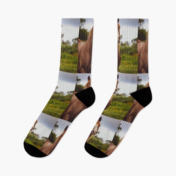 Item preview, Fairy tale horse, Lusitano breed, running free outdoors at flower field. designed and sold by AylaHarbich.