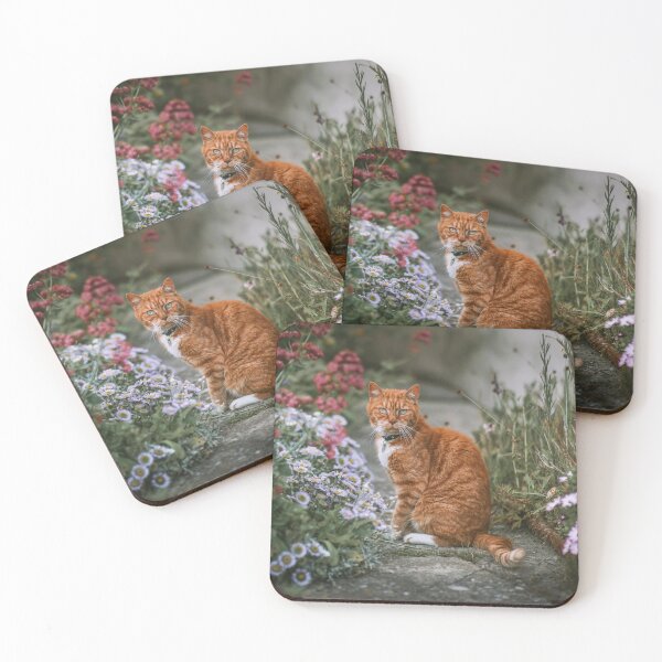 Item preview, Cat designed and sold by bertram4store.