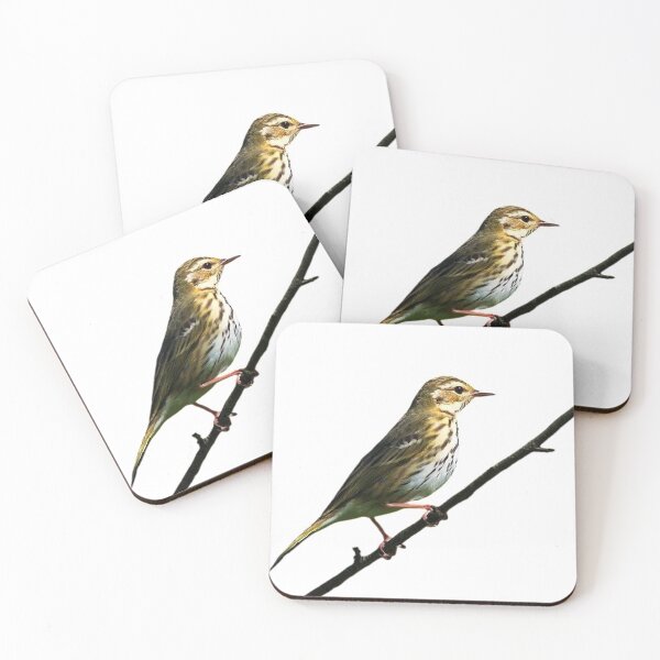 Item preview, The tree pipit (scientific name: Anthus hodgsoni) is a small songbird, similar in appearance to the wood pipit, with a body length of 15-16 cm. designed and sold by zenger2021.