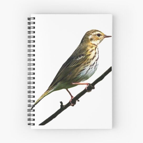 Item preview, The tree pipit (scientific name: Anthus hodgsoni) is a small songbird, similar in appearance to the wood pipit, with a body length of 15-16 cm. designed and sold by zenger2021.