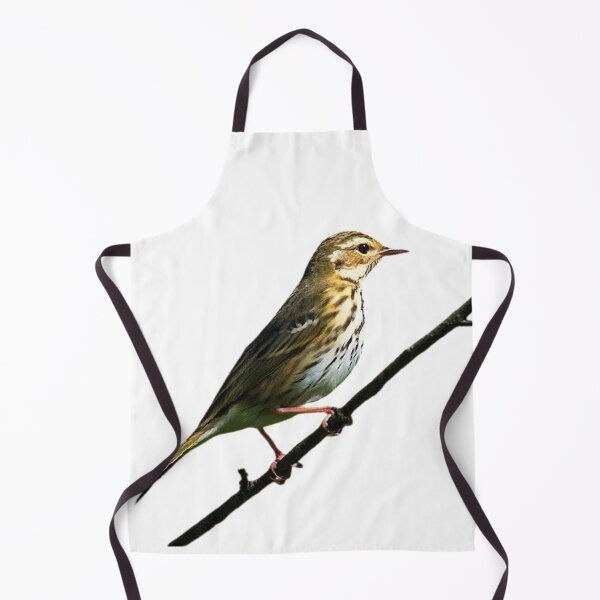 Item preview, The tree pipit (scientific name: Anthus hodgsoni) is a small songbird, similar in appearance to the wood pipit, with a body length of 15-16 cm. designed and sold by zenger2021.