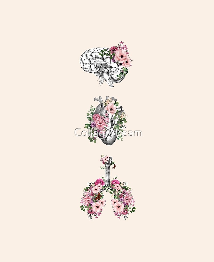 human organs, art with floral anatomy, botany, heart, lungs and brain with flora and pink roses human organs, art with floral anatomy, botany, heart, lungs and brain with flora and pink roses