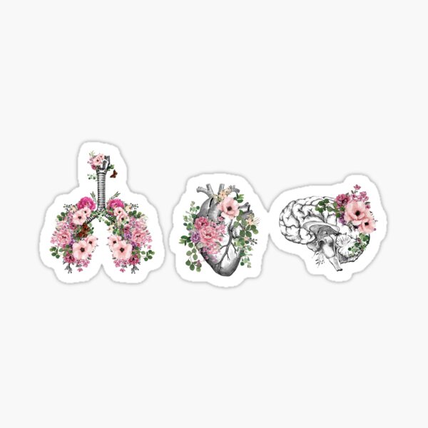 Item preview, human organs, art with floral anatomy, botany, heart, lungs and brain with flora and pink roses designed and sold by Collagedream.