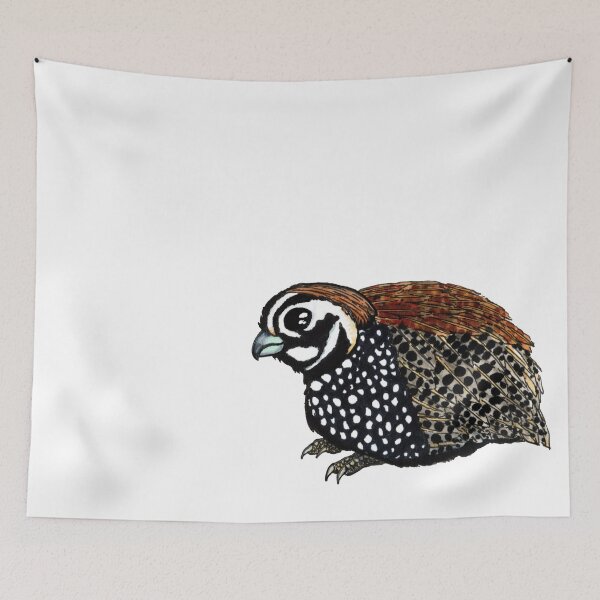 Item preview, Montezuma Quail designed and sold by -Senaar-.