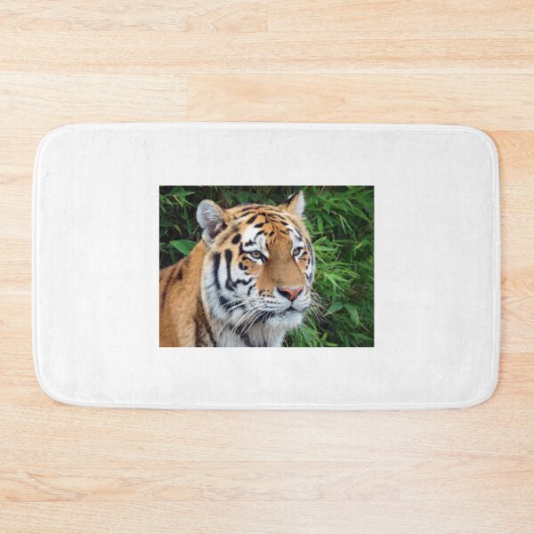 Item preview, A Beautiful Amur Tigress designed and sold by Karen Thomson.