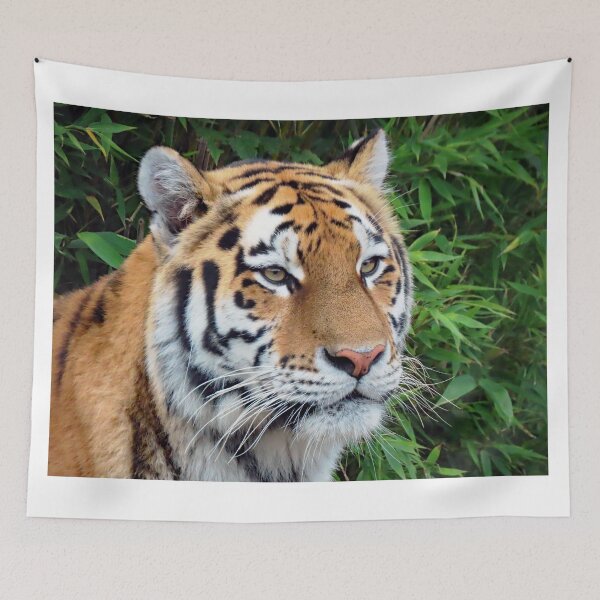 Item preview, A Beautiful Amur Tigress designed and sold by Karen Thomson.
