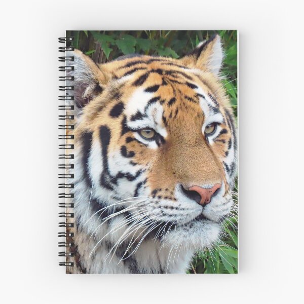 Item preview, A Beautiful Amur Tigress designed and sold by Karen Thomson.