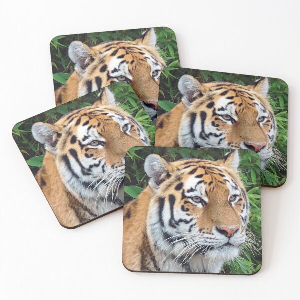 Item preview, A Beautiful Amur Tigress designed and sold by Karen Thomson.