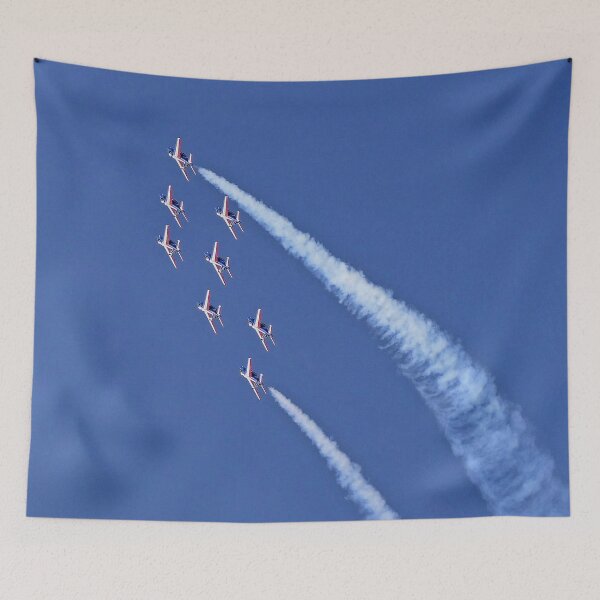 Item preview, r2883/ Finition 2021 - 12 - la Légendaire " Patrouille de France 2021, le Vigeant 86  "  fz 2000 (c)(h) Olavia-Olao Okaio Créations  designed and sold by o.okaïo.