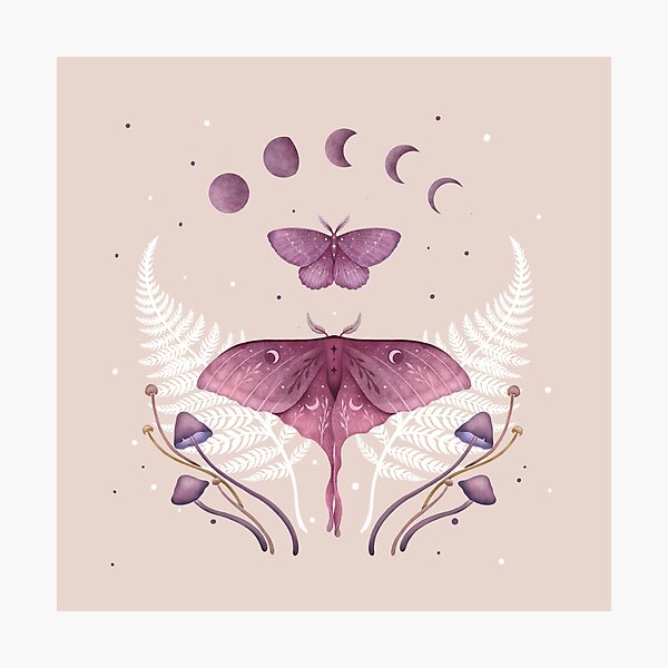 Magical Moth by Irene Neyman on Dribbble