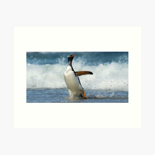 Item preview, Panoramic,widescreen prints,  Penguins print,Penguin poster,Penguin  wall art,Penguin  art, ocean,bird species, sea, blue, fish,Penguin ,wall art, nature, nature designed and sold by eyesight4vision.