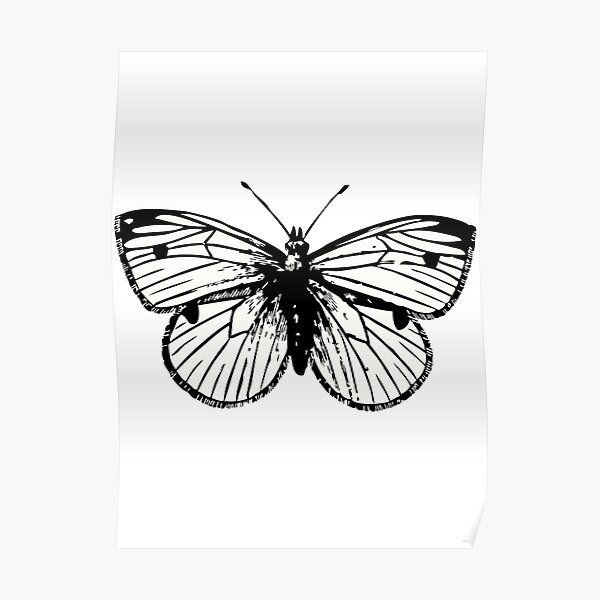 butterfly black and white Poster