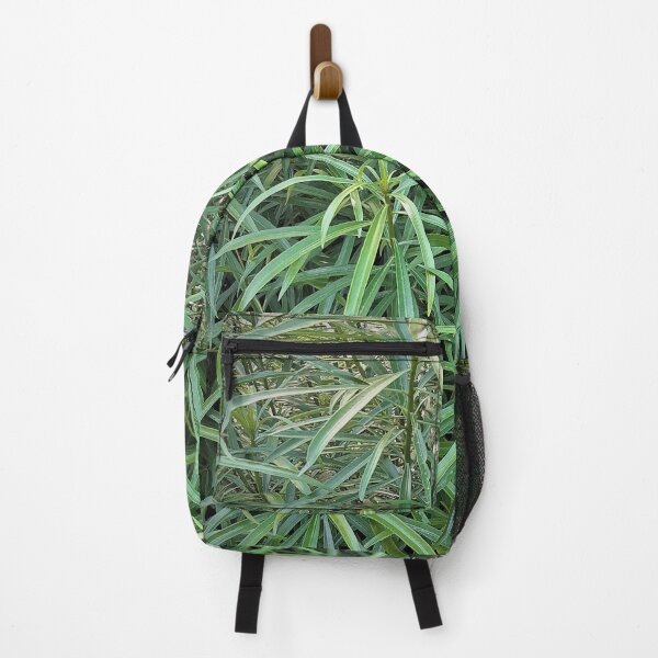 Item preview, plant designed and sold by KerCar.