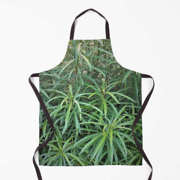 Item preview, plant designed and sold by KerCar.
