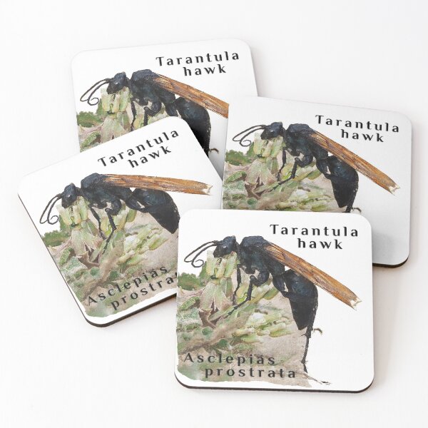 Item preview, Tarantula Hawk on Asclepias prostrata designed and sold by scout-earth.
