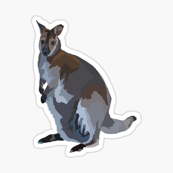Item preview, W is for Wallaby ,Cute Wallaby Illustration – Australian Wildlife Art designed and sold by thezoogirl.