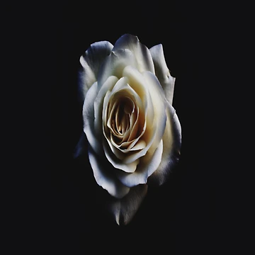 Artwork thumbnail, Clocks Flower by Rio8000
