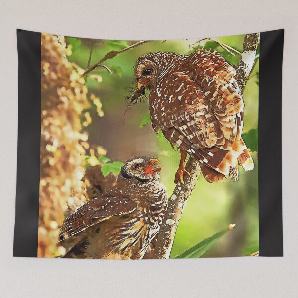 Item preview, Owl 32 designed and sold by WardhaniDesign.