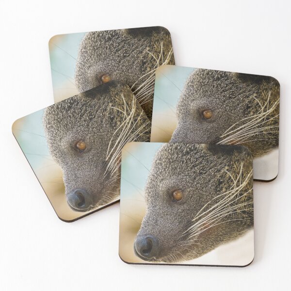 Item preview, Binturong Side Profile designed and sold by rawshutterbug.