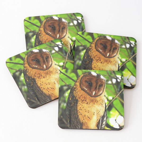 Item preview, Owl 33 designed and sold by WardhaniDesign.