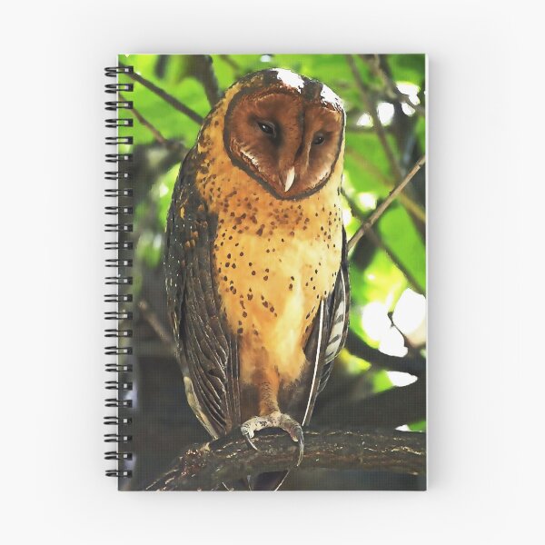 Item preview, Owl 33 designed and sold by WardhaniDesign.