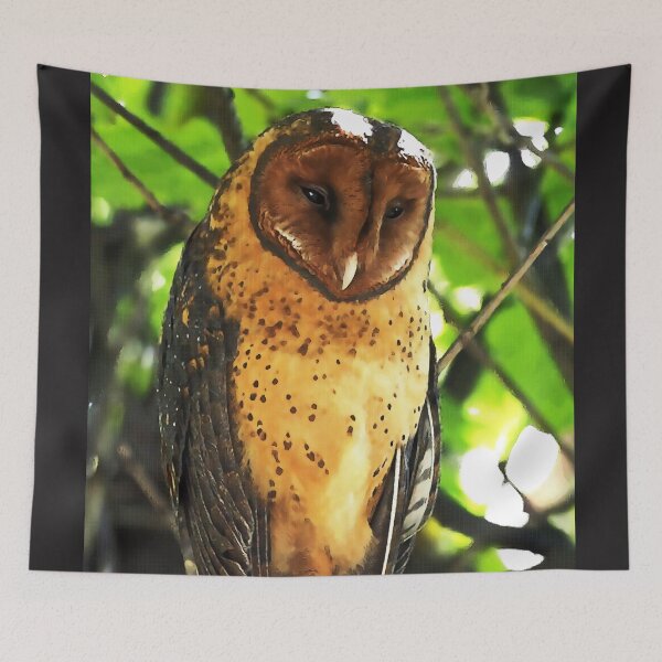 Item preview, Owl 33 designed and sold by WardhaniDesign.