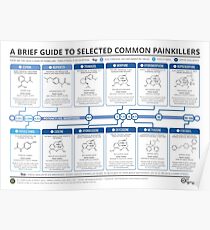 Guide to Common Painkillers Poster