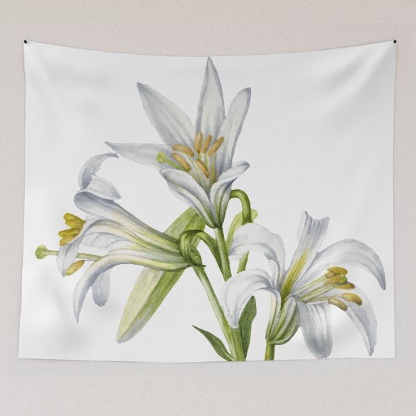 Item preview, Washington Lily Floral Illustration designed and sold by JoyforU.