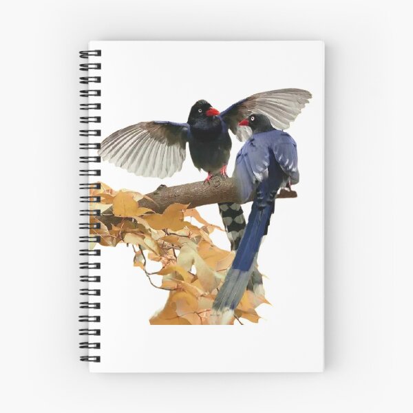 Item preview, Taiwan blue magpie (scientific name: Urocissa caerulea): body length is 64 to 65 cm, wingspan is 18 to 21 cm, tail length is about 40 cm designed and sold by zenger2021.