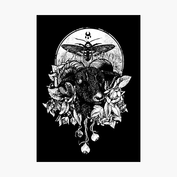 Krogl Photographic Print