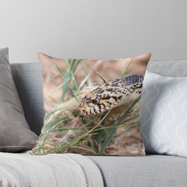 Item preview, Bull Snake designed and sold by Greg Birkett.