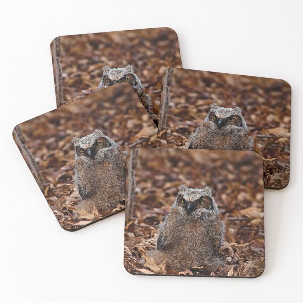 Item preview, immature Great Horned Owl  designed and sold by Brad Chambers.