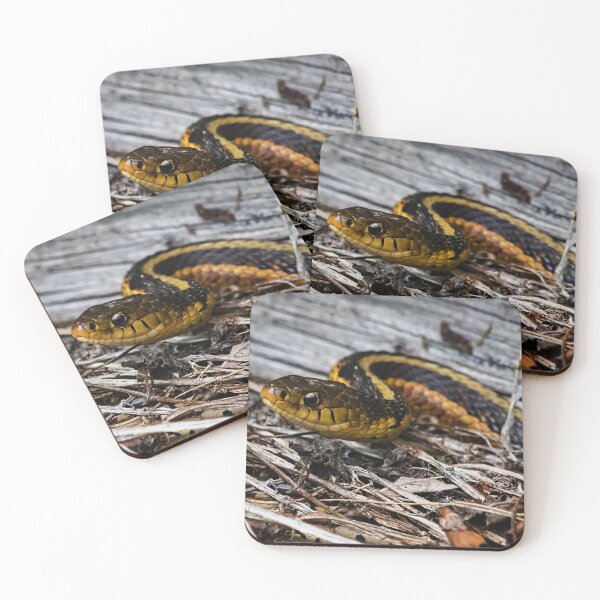 Item preview, Garter snake designed and sold by Brad Chambers.