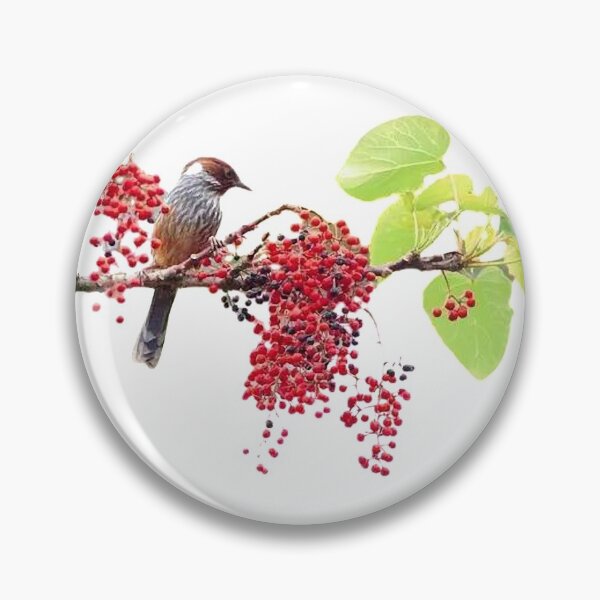 Item preview, The winged thrush is a species endemic to Taiwan and belongs to the subfamily Thrush. It is a bird species that is not commonly seen and is not easy to see designed and sold by zenger2021.