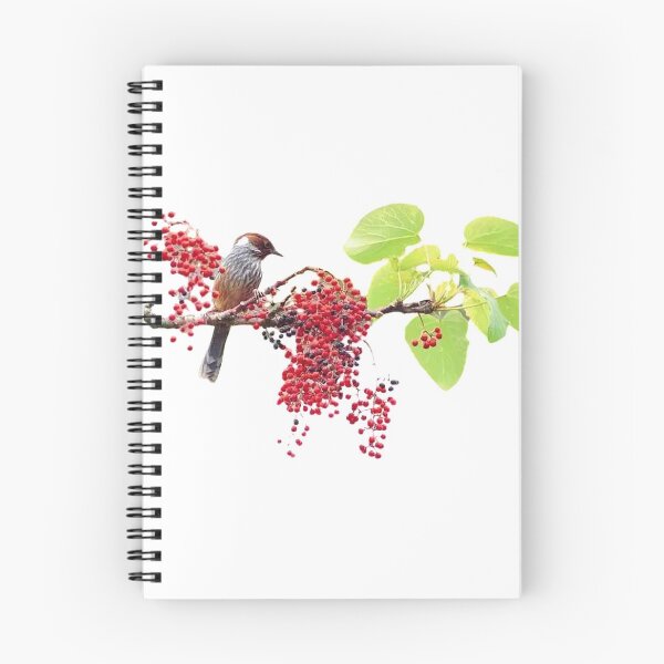 Item preview, The winged thrush is a species endemic to Taiwan and belongs to the subfamily Thrush. It is a bird species that is not commonly seen and is not easy to see designed and sold by zenger2021.