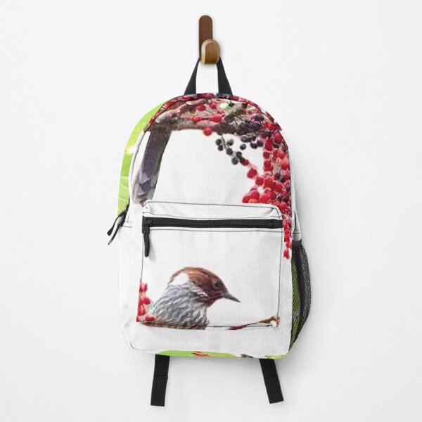Item preview, The winged thrush is a species endemic to Taiwan and belongs to the subfamily Thrush. It is a bird species that is not commonly seen and is not easy to see designed and sold by zenger2021.
