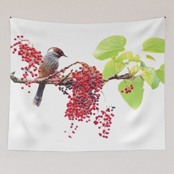 Item preview, The winged thrush is a species endemic to Taiwan and belongs to the subfamily Thrush. It is a bird species that is not commonly seen and is not easy to see designed and sold by zenger2021.