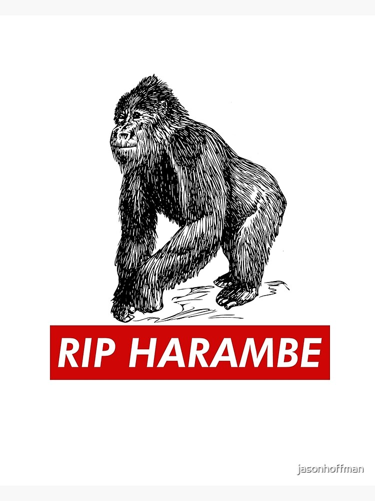 harambe gorilla background
