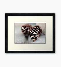 Nature's Legos Framed Print