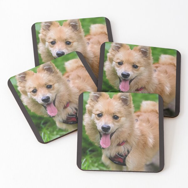 Item preview, Pomeranian puppy Kai designed and sold by Fluffycat2020.