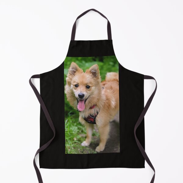 Item preview, Pomeranian puppy Kai designed and sold by Fluffycat2020.
