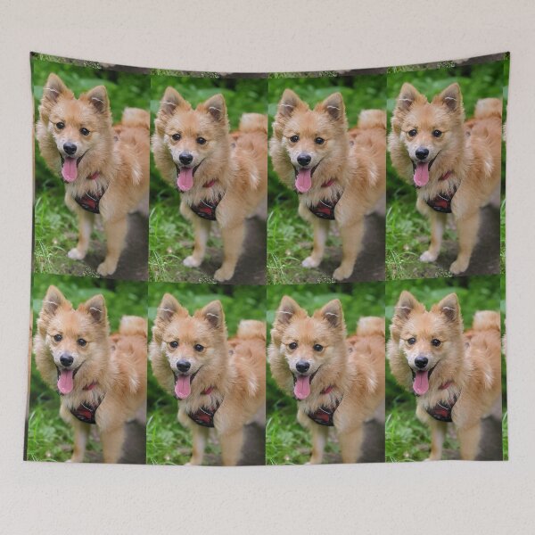 Item preview, Pomeranian puppy Kai designed and sold by Fluffycat2020.