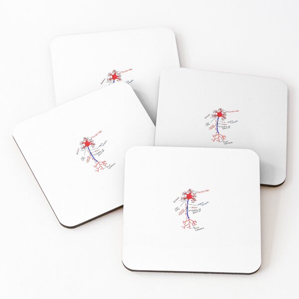 Item preview, Neuron Anatomy designed and sold by NeuroNotes.