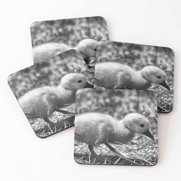Item preview, Yellow Duckling B&W designed and sold by NunoPires.