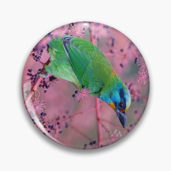 Item preview, Five-color bird (scientific name: Megalaima nuchalis) is a strong bird. In addition to its green body designed and sold by zenger2021.