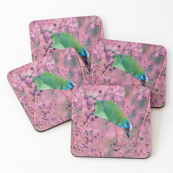 Item preview, Five-color bird (scientific name: Megalaima nuchalis) is a strong bird. In addition to its green body designed and sold by zenger2021.